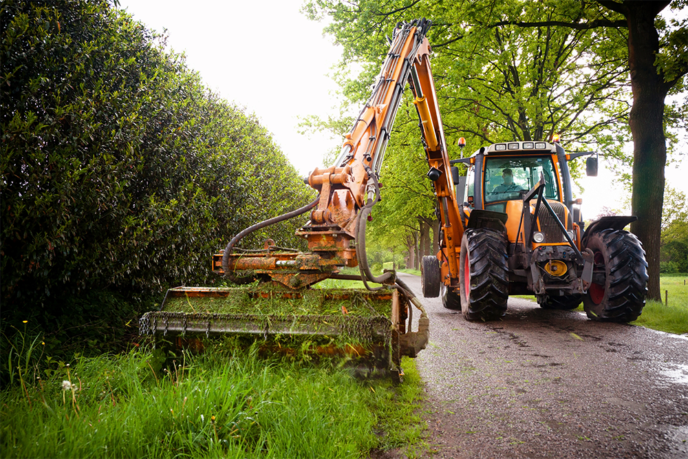 Natuurbescherming